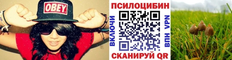 что такое наркотик  Порхов  Псилоцибиновые грибы мухоморы 